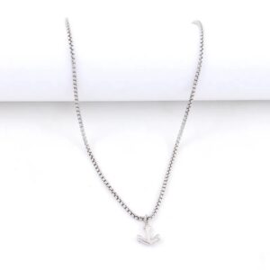 Cadena Ancla Plata